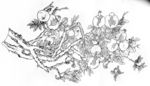 石榴花鸟图
