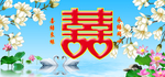 囍