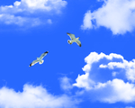 天空