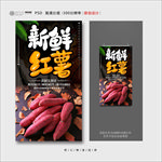 红薯