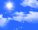 天空