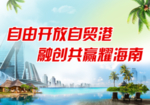 海南贸易港图片