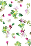 玫瑰花