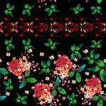 玫瑰花