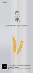 24节气 芒种