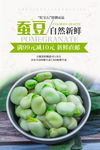 蚕豆海报