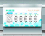 企业发展历程