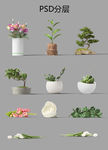 植物花草模型