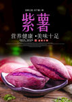 紫薯海报