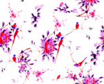 玫瑰花