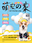 宠物之家
