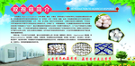 双孢菇简介 菌类海报