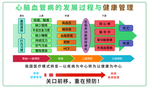 心脑血管发展过程