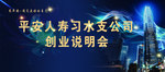 平安人寿说明会