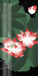 新中式荷花