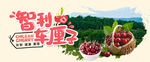 车厘子