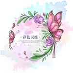 蝴蝶