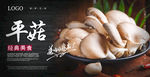 平菇海报