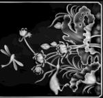 花灰度图