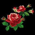 手绘玫瑰