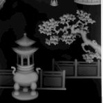 树灰度图