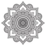 莲花图案花纹