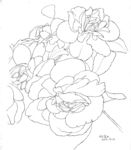 花卉
