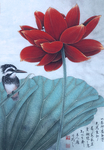 荷花
