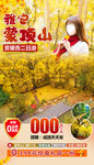雅安蒙顶山赏银杏旅游