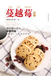蔓越莓饼干海报