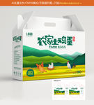 鸡蛋包装设计 鸡蛋包装箱