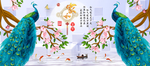 孔雀家和富贵装饰画