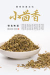 茴香海报