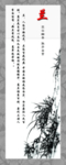 兰花