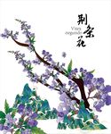 荆条花