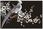 鸟