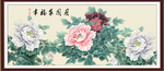 牡丹 花开富贵
