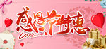 感恩节特惠