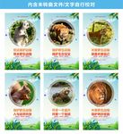 保护野生动物