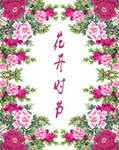 玫瑰花素材