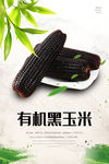 黑玉米海报