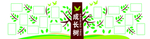 成长树照片墙