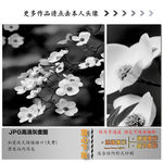 墙纸墙布壁纸壁布肌理纹