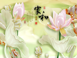 家和富贵