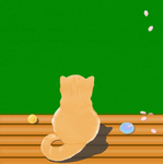 猫咪