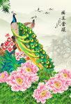 孔雀牡丹图