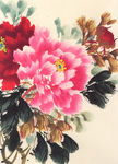 牡丹花装饰画