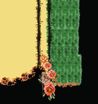 手绘花朵