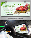 新鲜李子挂画灯箱易拉宝展架单页