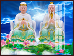 无声老母